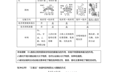 2023年高考生物一轮复习（全国版）第2单元第6课时　物质出入细胞的方式及影响因素_通用版（老高考）复习资料_2023年复习资料_一轮复习_2023年高考生物一轮复习讲义+课件（全国版）