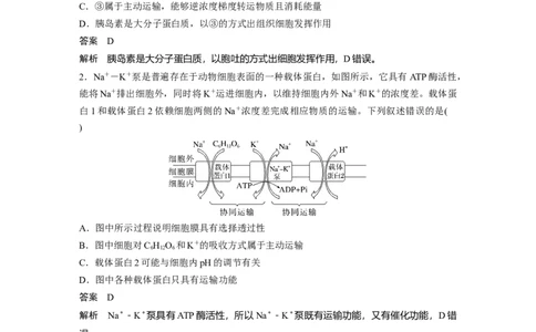 2023年高考生物一轮复习（全国版）第2单元第6课时　物质出入细胞的方式及影响因素_通用版（老高考）复习资料_2023年复习资料_一轮复习_2023年高考生物一轮复习讲义+课件（全国版）