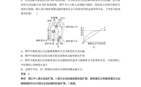 2023年高考生物一轮复习（全国版）第2单元第6课时　物质出入细胞的方式及影响因素_通用版（老高考）复习资料_2023年复习资料_一轮复习_2023年高考生物一轮复习讲义+课件（全国版）