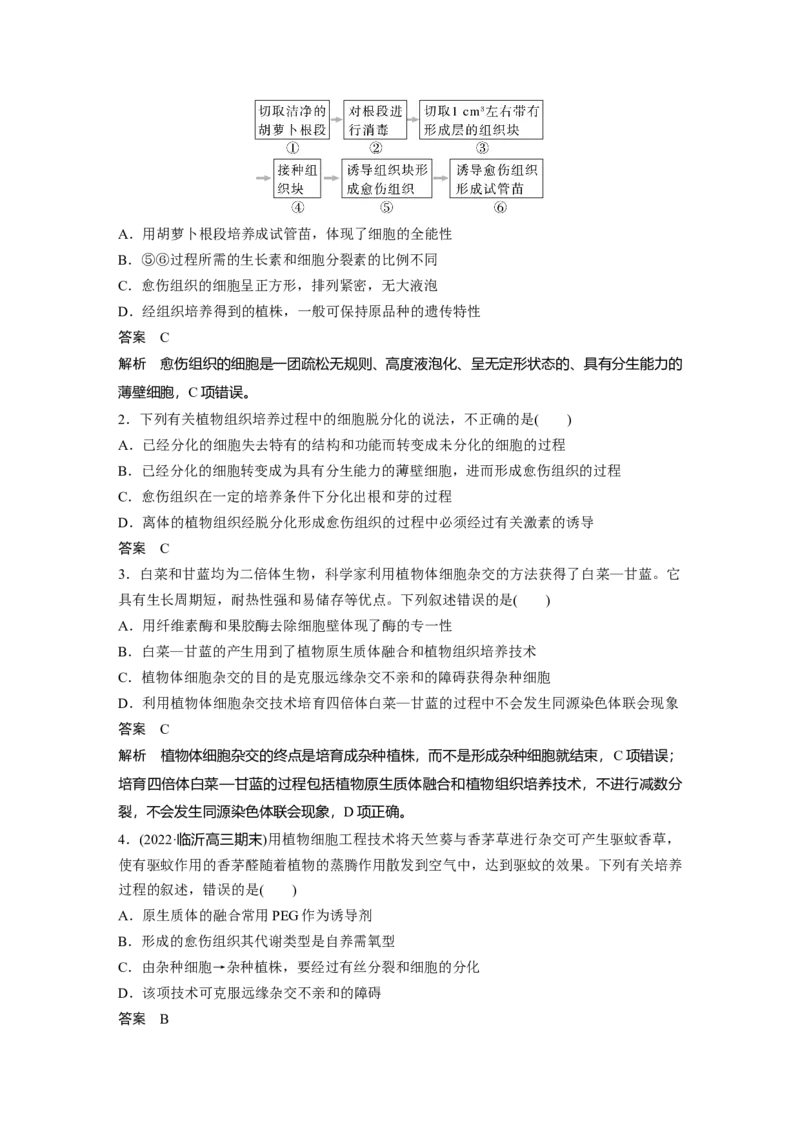 2023年高考生物一轮复习（全国版）第10单元第3课时　植物细胞工程_通用版（老高考）复习资料_2023年复习资料_一轮复习_2023年高考生物一轮复习讲义+课件（全国版）