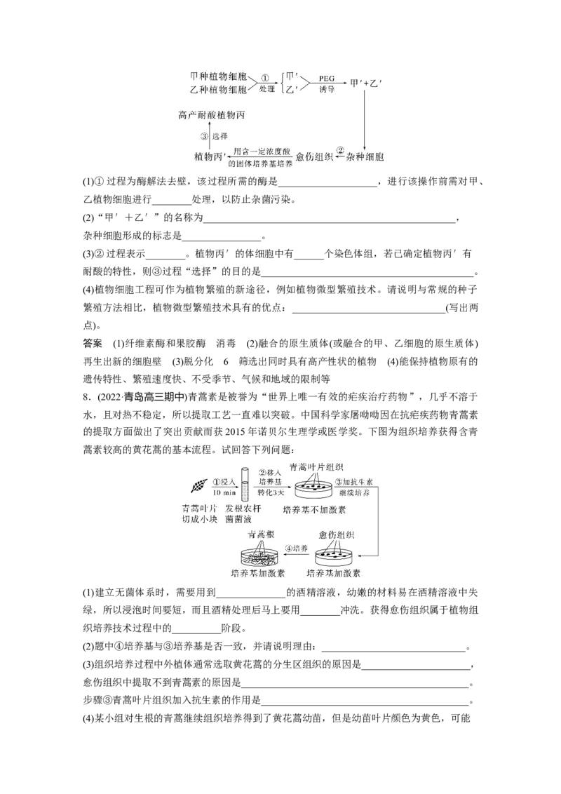 2023年高考生物一轮复习（全国版）第10单元第3课时　植物细胞工程_通用版（老高考）复习资料_2023年复习资料_一轮复习_2023年高考生物一轮复习讲义+课件（全国版）