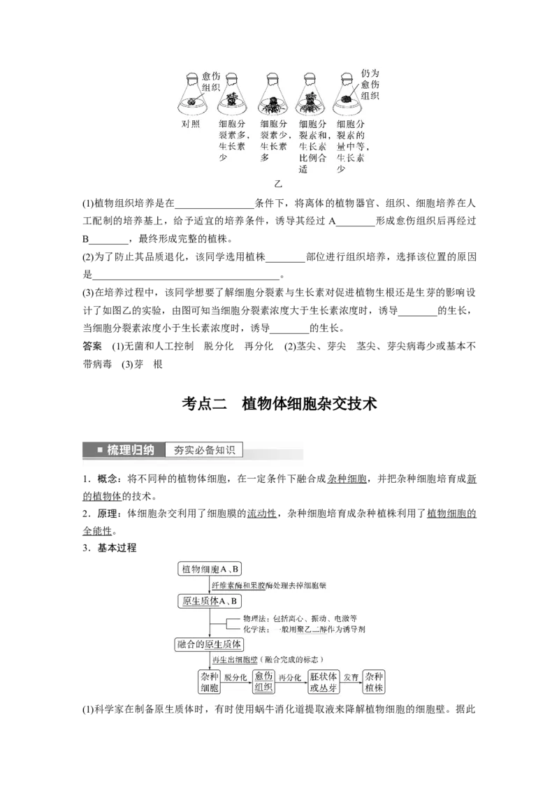 2023年高考生物一轮复习（全国版）第10单元第3课时　植物细胞工程_通用版（老高考）复习资料_2023年复习资料_一轮复习_2023年高考生物一轮复习讲义+课件（全国版）