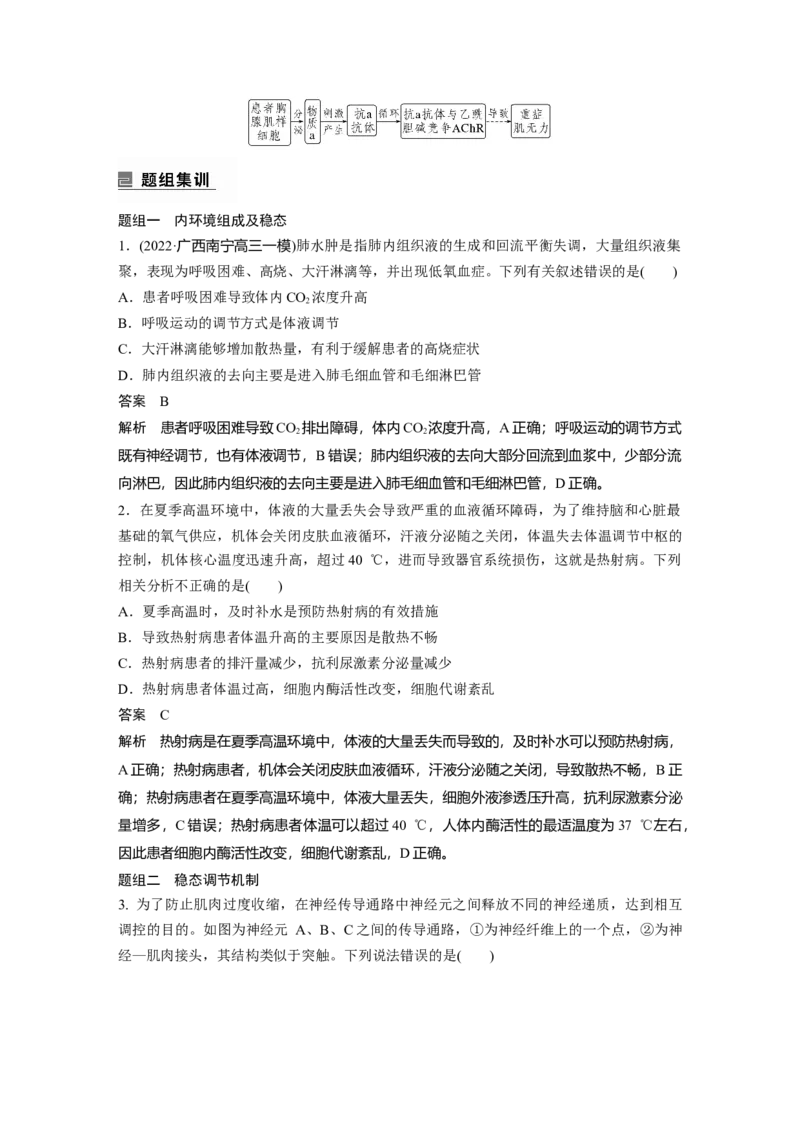 2023年高考生物二轮复习（全国版）第1篇专题突破专题6考点1　动物个体的稳态与调节_通用版（老高考）复习资料_2023年复习资料_二轮复习_2023年高考生物二轮复习讲义+课件（全国版）