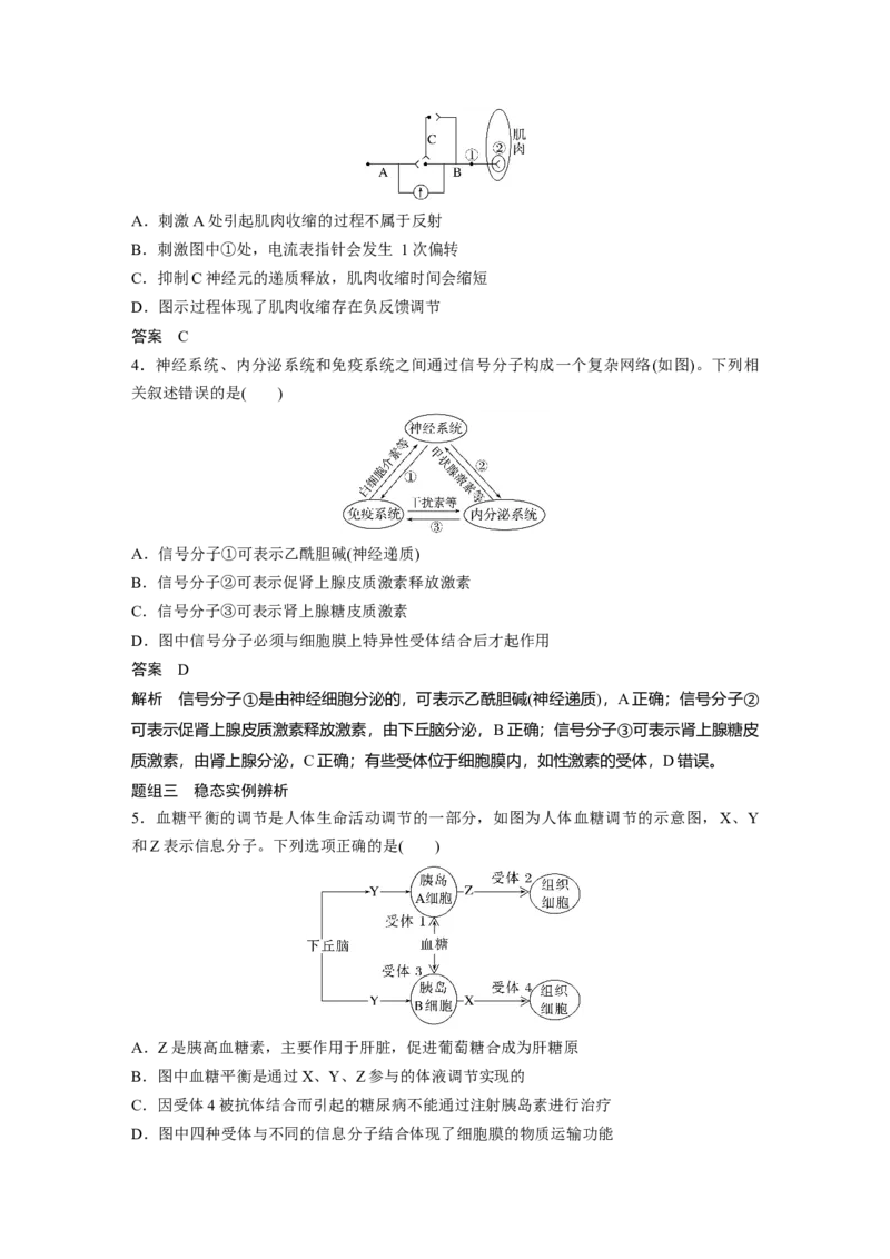 2023年高考生物二轮复习（全国版）第1篇专题突破专题6考点1　动物个体的稳态与调节_通用版（老高考）复习资料_2023年复习资料_二轮复习_2023年高考生物二轮复习讲义+课件（全国版）