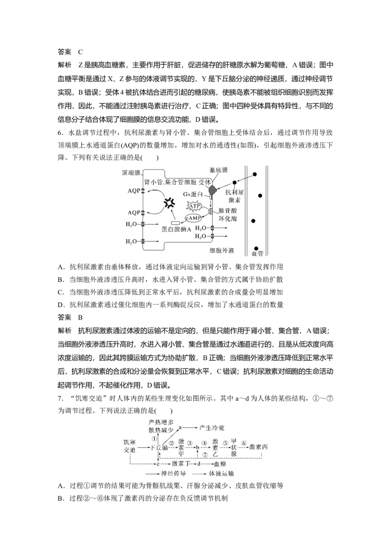 2023年高考生物二轮复习（全国版）第1篇专题突破专题6考点1　动物个体的稳态与调节_通用版（老高考）复习资料_2023年复习资料_二轮复习_2023年高考生物二轮复习讲义+课件（全国版）