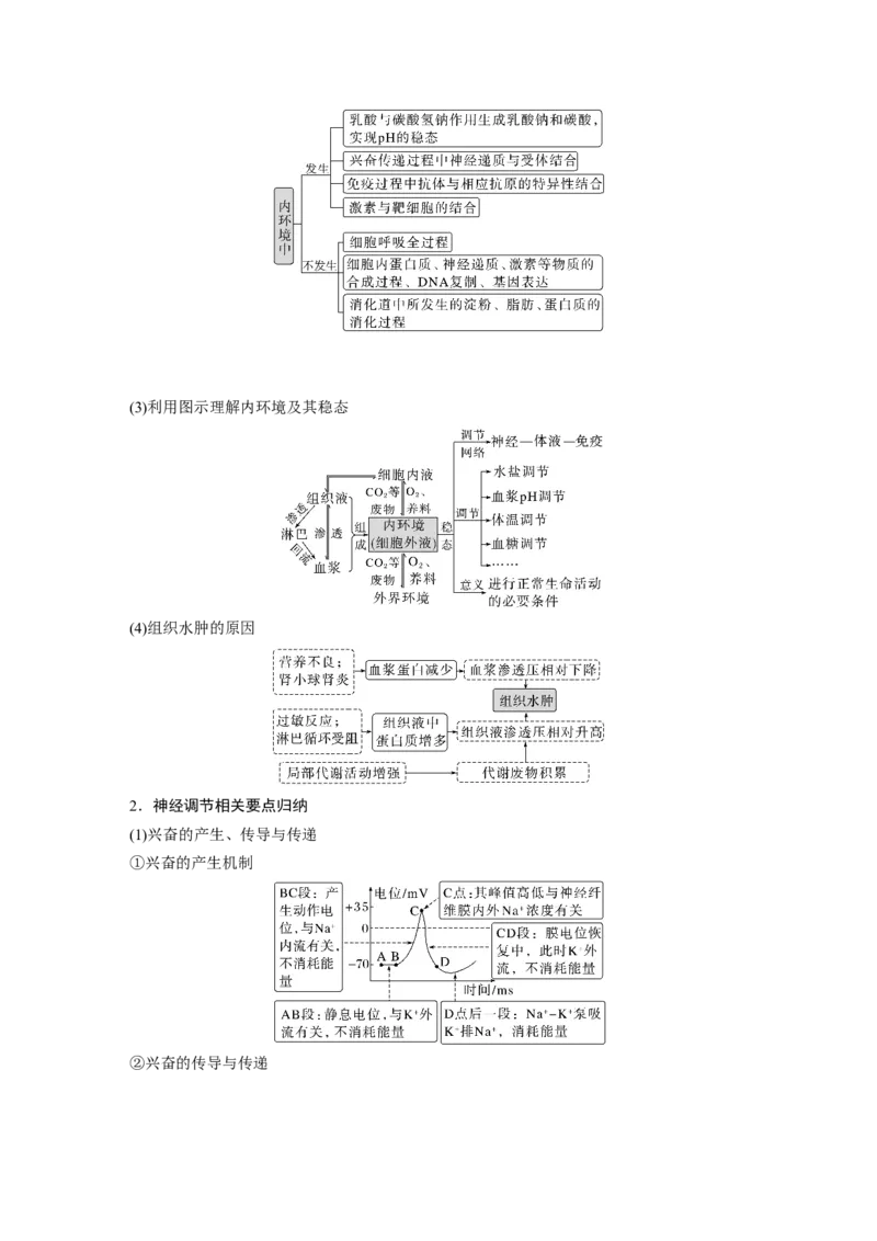 2023年高考生物二轮复习（全国版）第1篇专题突破专题6考点1　动物个体的稳态与调节_通用版（老高考）复习资料_2023年复习资料_二轮复习_2023年高考生物二轮复习讲义+课件（全国版）