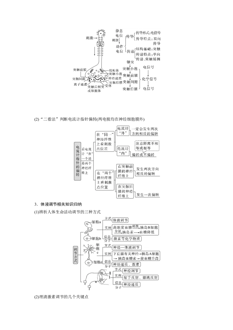 2023年高考生物二轮复习（全国版）第1篇专题突破专题6考点1　动物个体的稳态与调节_通用版（老高考）复习资料_2023年复习资料_二轮复习_2023年高考生物二轮复习讲义+课件（全国版）