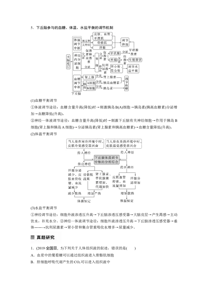 2023年高考生物二轮复习（全国版）第1篇专题突破专题6考点1　动物个体的稳态与调节_通用版（老高考）复习资料_2023年复习资料_二轮复习_2023年高考生物二轮复习讲义+课件（全国版）