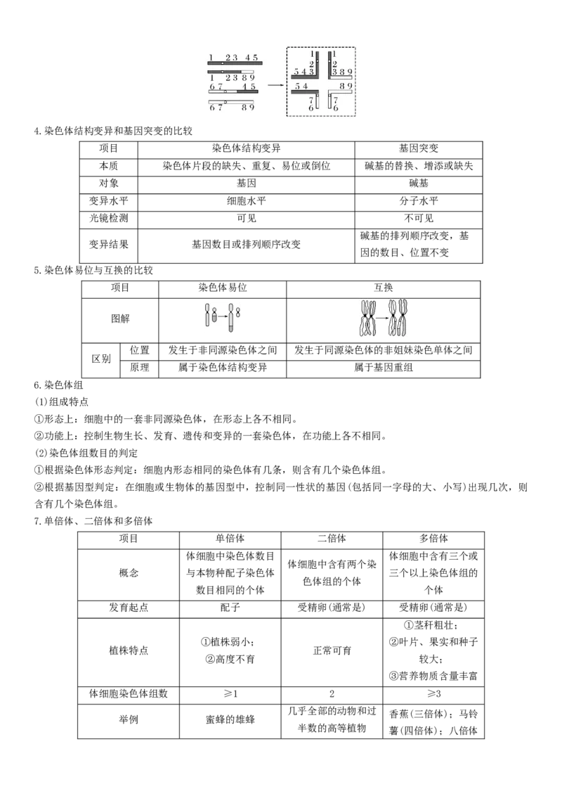 秘籍02+遗传与进化必备梳理（核心考点+教材黑体字+教材旁栏+拓展应用）-备战2024年高考生物抢分秘籍（新高考专用）_2024年新高考资料_5.2024三轮冲刺