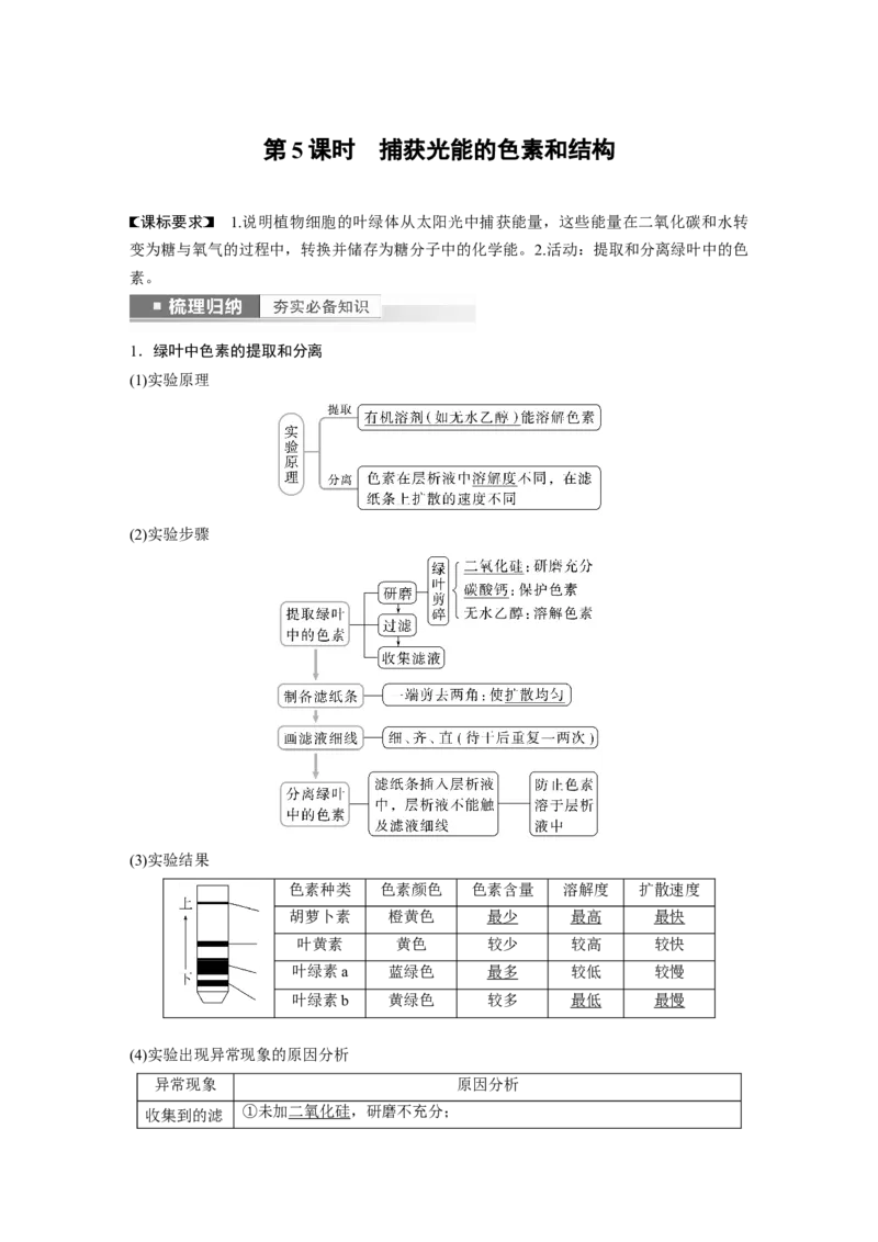 2023年高考生物一轮复习（新人教新高考）第3单元第5课时　捕获光能的色素和结构_新高考复习资料_2023年新高考复习资料_一轮复习_2023年新高考大一轮复习讲义