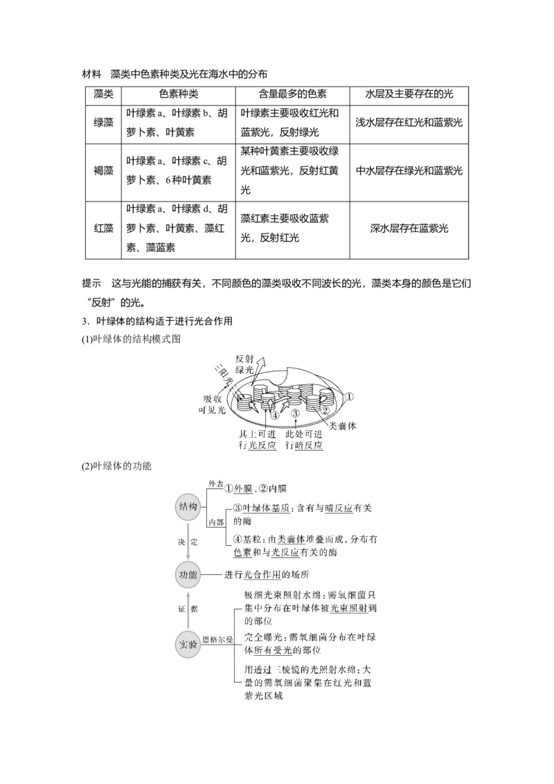 2023年高考生物一轮复习（新人教新高考）第3单元第5课时　捕获光能的色素和结构_新高考复习资料_2023年新高考复习资料_一轮复习_2023年新高考大一轮复习讲义