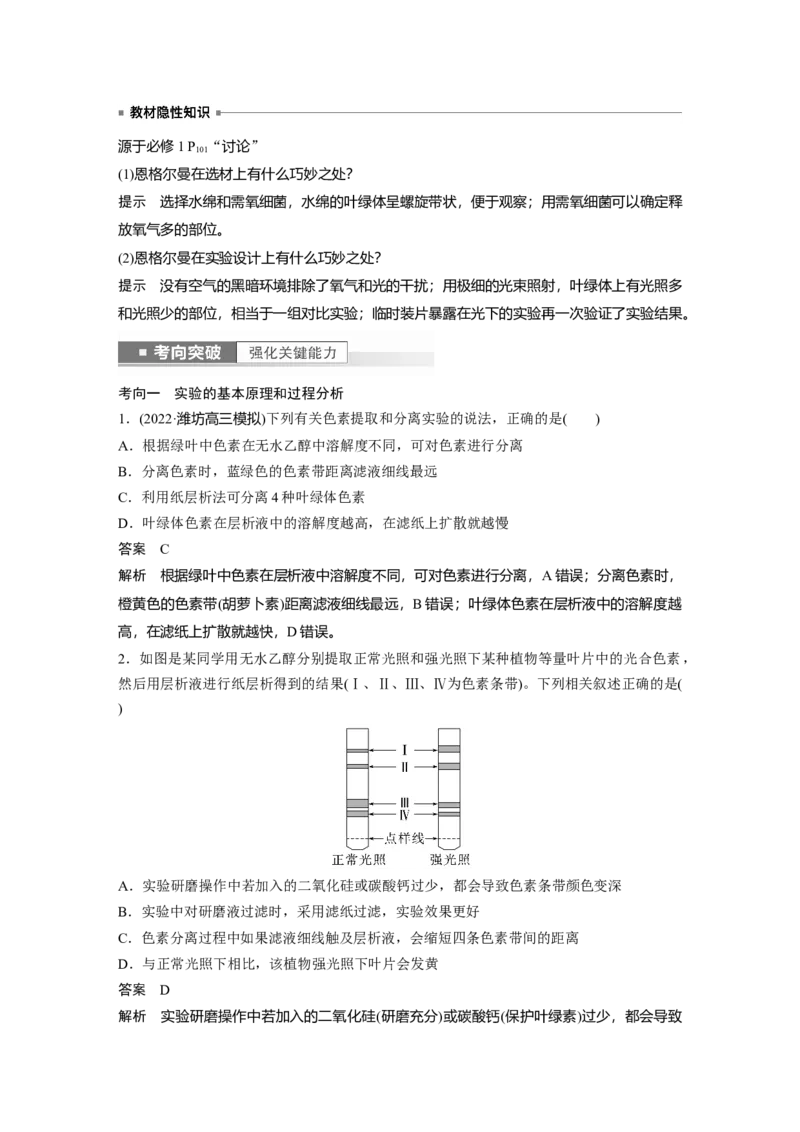 2023年高考生物一轮复习（新人教新高考）第3单元第5课时　捕获光能的色素和结构_新高考复习资料_2023年新高考复习资料_一轮复习_2023年新高考大一轮复习讲义