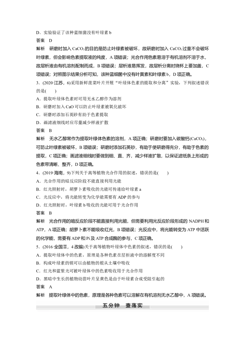 2023年高考生物一轮复习（新人教新高考）第3单元第5课时　捕获光能的色素和结构_新高考复习资料_2023年新高考复习资料_一轮复习_2023年新高考大一轮复习讲义