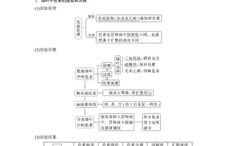 2023年高考生物一轮复习（新人教新高考）第3单元第5课时　捕获光能的色素和结构_新高考复习资料_2023年新高考复习资料_一轮复习_2023年新高考大一轮复习讲义