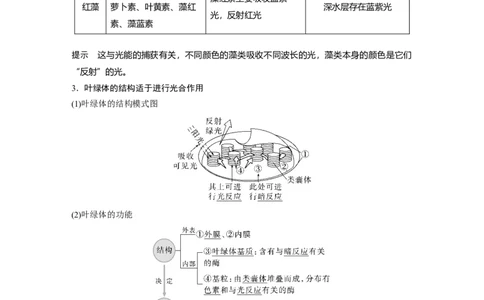 2023年高考生物一轮复习（新人教新高考）第3单元第5课时　捕获光能的色素和结构_新高考复习资料_2023年新高考复习资料_一轮复习_2023年新高考大一轮复习讲义