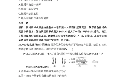 热点微练14生物变异类型的判断(尖子生特训)_2024年新高考资料_1.2024一轮复习_2024年高考生物一轮复习讲义（新人教版）_另附1套Word版题库_必修2_第七单元生物的变异和进化