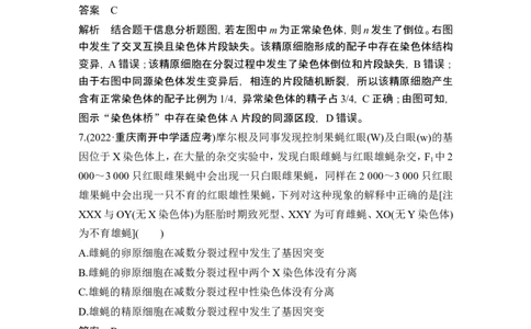 热点微练14生物变异类型的判断(尖子生特训)_2024年新高考资料_1.2024一轮复习_2024年高考生物一轮复习讲义（新人教版）_另附1套Word版题库_必修2_第七单元生物的变异和进化