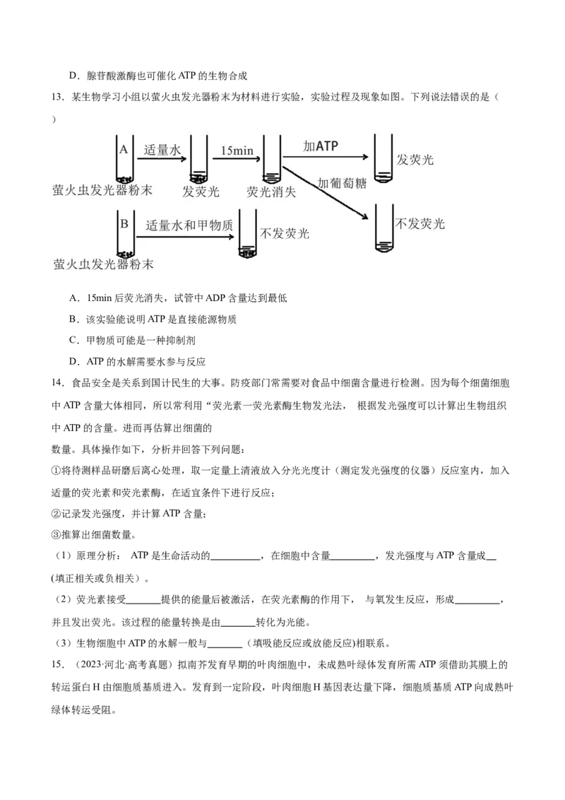 第03讲酶和ATP（练习）（原卷版）_2024年新高考资料_2.2024二轮复习_2024年高考生物二轮复习讲练测（新教材新高考）