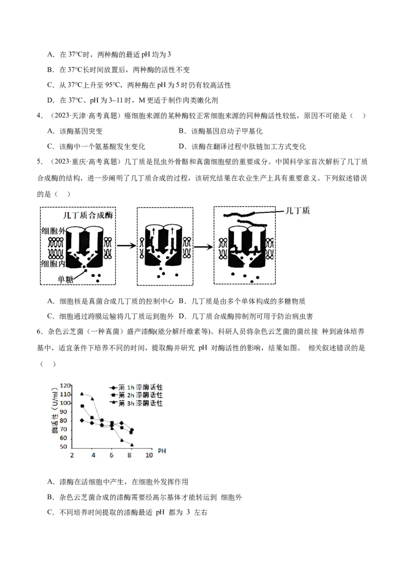 第03讲酶和ATP（练习）（原卷版）_2024年新高考资料_2.2024二轮复习_2024年高考生物二轮复习讲练测（新教材新高考）