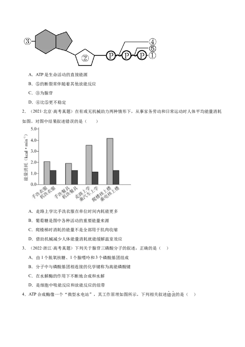 第03讲酶和ATP（练习）（原卷版）_2024年新高考资料_2.2024二轮复习_2024年高考生物二轮复习讲练测（新教材新高考）
