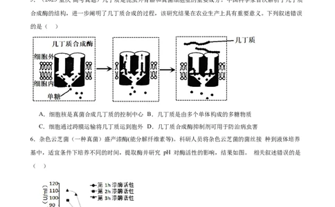 第03讲酶和ATP（练习）（原卷版）_2024年新高考资料_2.2024二轮复习_2024年高考生物二轮复习讲练测（新教材新高考）