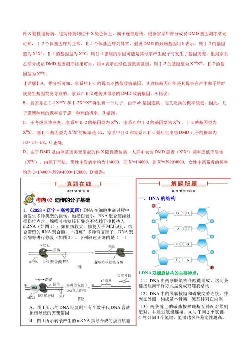 押新高考卷遗传与进化（解析版）-备战2024年高考生物临考题号押题（新高考通用）_2024年新高考资料_5.2024三轮冲刺_备战2024年高考生物临考题号押题（新高考通用）322745222