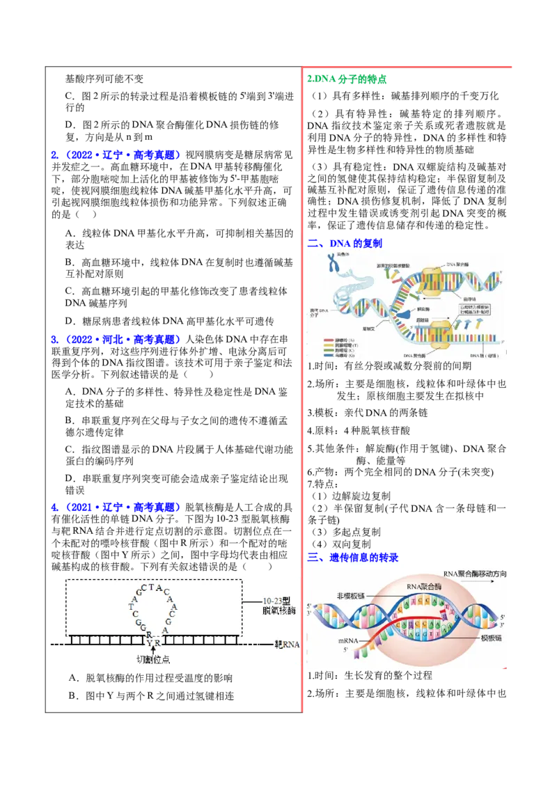 押新高考卷遗传与进化（解析版）-备战2024年高考生物临考题号押题（新高考通用）_2024年新高考资料_5.2024三轮冲刺_备战2024年高考生物临考题号押题（新高考通用）322745222