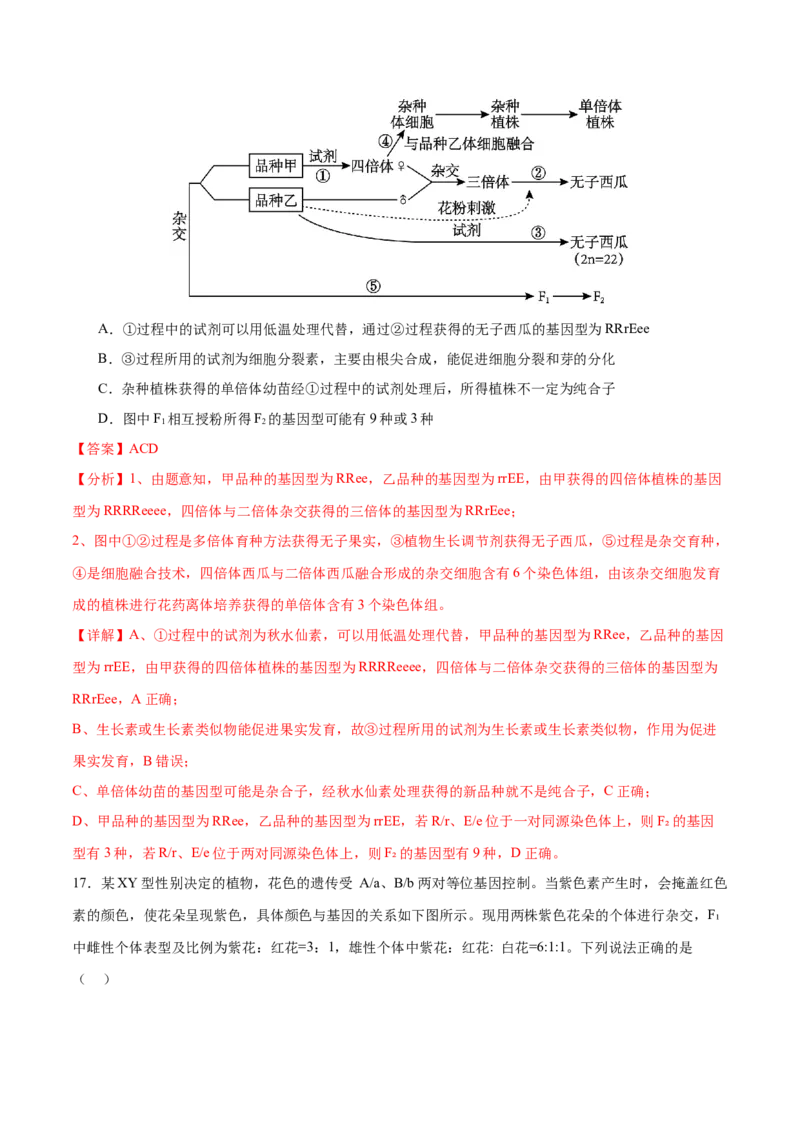 押新高考卷遗传与进化（解析版）-备战2024年高考生物临考题号押题（新高考通用）_2024年新高考资料_5.2024三轮冲刺_备战2024年高考生物临考题号押题（新高考通用）322745222