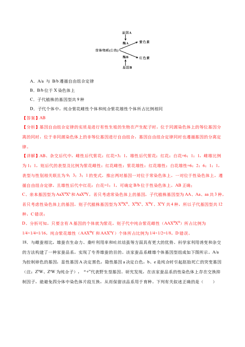 押新高考卷遗传与进化（解析版）-备战2024年高考生物临考题号押题（新高考通用）_2024年新高考资料_5.2024三轮冲刺_备战2024年高考生物临考题号押题（新高考通用）322745222