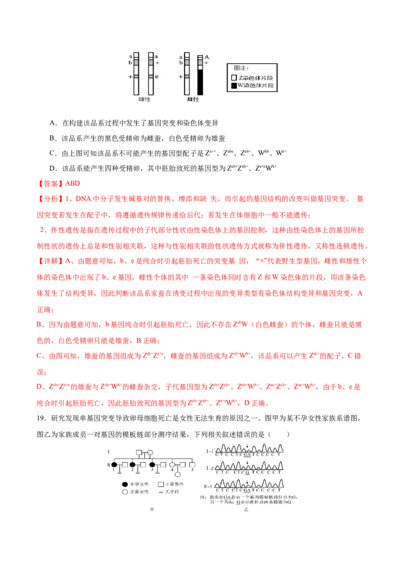 押新高考卷遗传与进化（解析版）-备战2024年高考生物临考题号押题（新高考通用）_2024年新高考资料_5.2024三轮冲刺_备战2024年高考生物临考题号押题（新高考通用）322745222