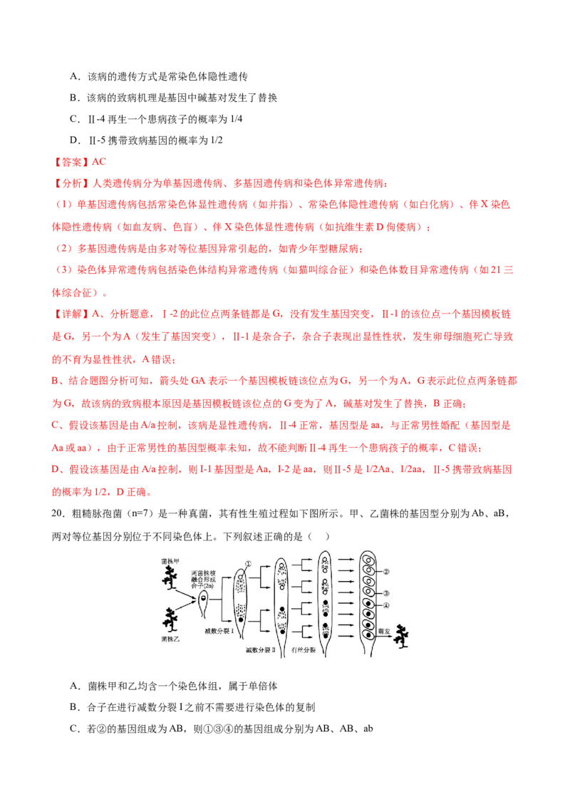 押新高考卷遗传与进化（解析版）-备战2024年高考生物临考题号押题（新高考通用）_2024年新高考资料_5.2024三轮冲刺_备战2024年高考生物临考题号押题（新高考通用）322745222