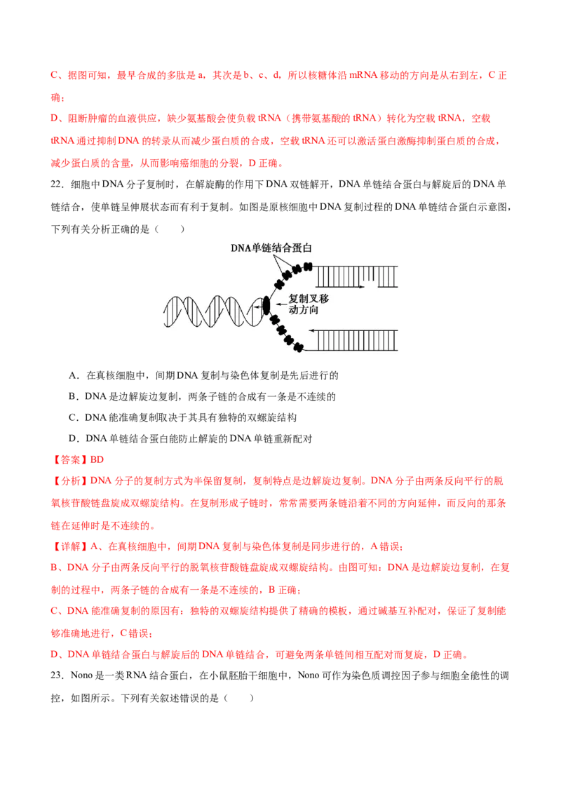押新高考卷遗传与进化（解析版）-备战2024年高考生物临考题号押题（新高考通用）_2024年新高考资料_5.2024三轮冲刺_备战2024年高考生物临考题号押题（新高考通用）322745222