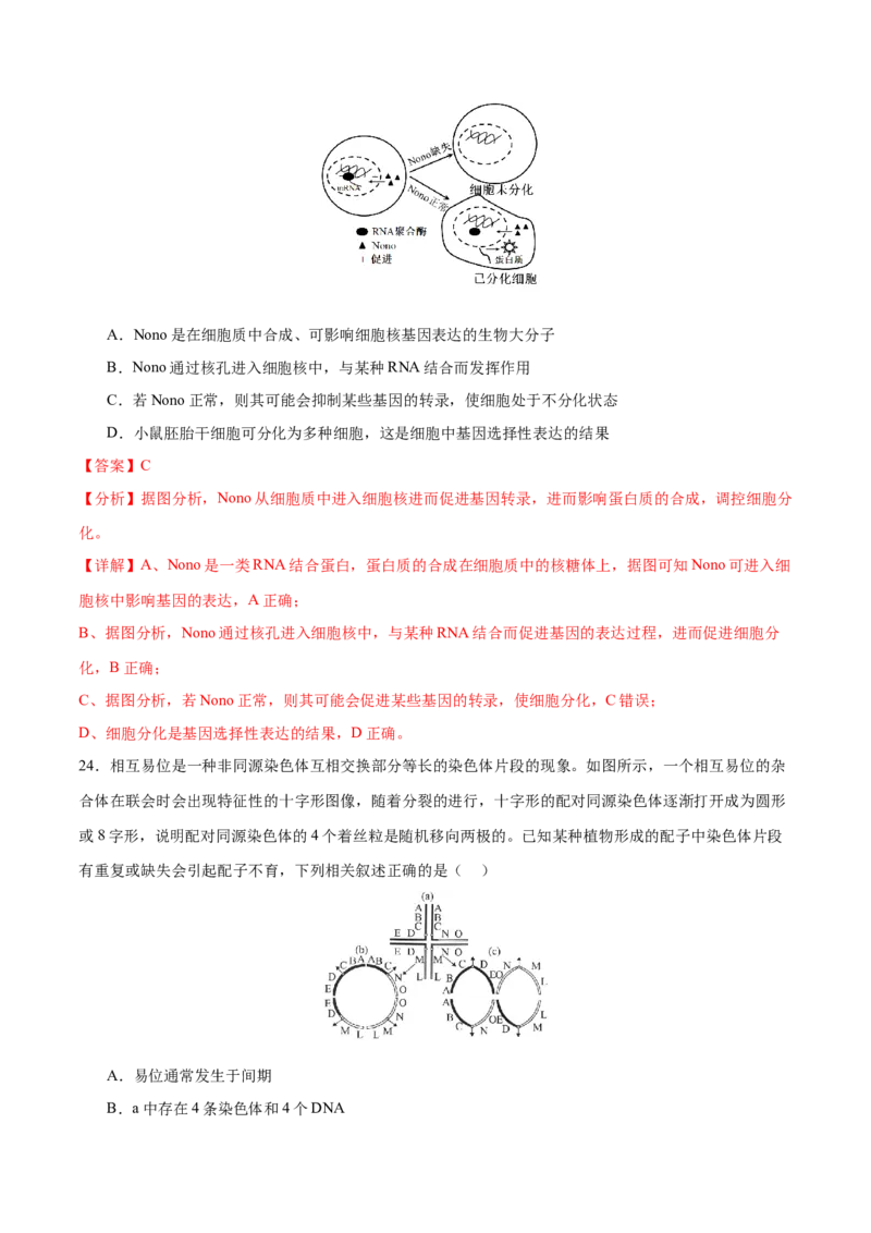 押新高考卷遗传与进化（解析版）-备战2024年高考生物临考题号押题（新高考通用）_2024年新高考资料_5.2024三轮冲刺_备战2024年高考生物临考题号押题（新高考通用）322745222