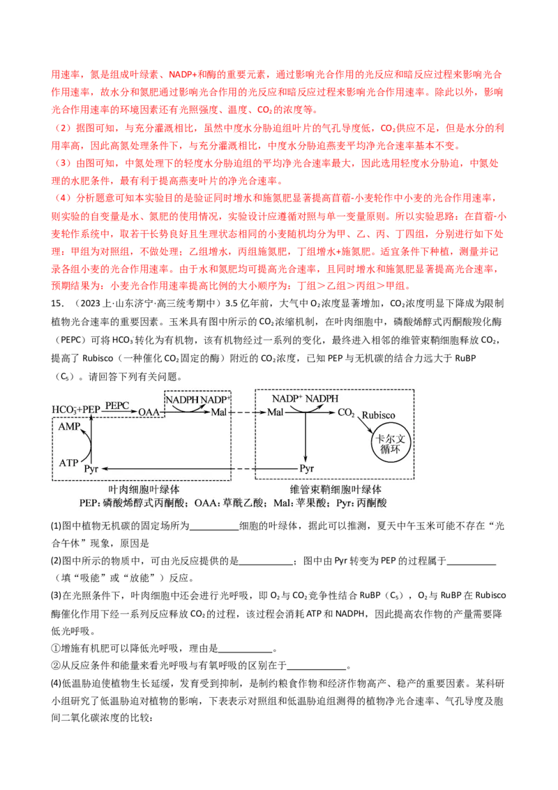 热点01&ldquo;农作物增产措施&rdquo;与光合作用和细胞呼吸（解析版）_2024年新高考资料_3.2024专项复习_2024年高考生物热点&middot;重点&middot;难点专练（新高考专用）