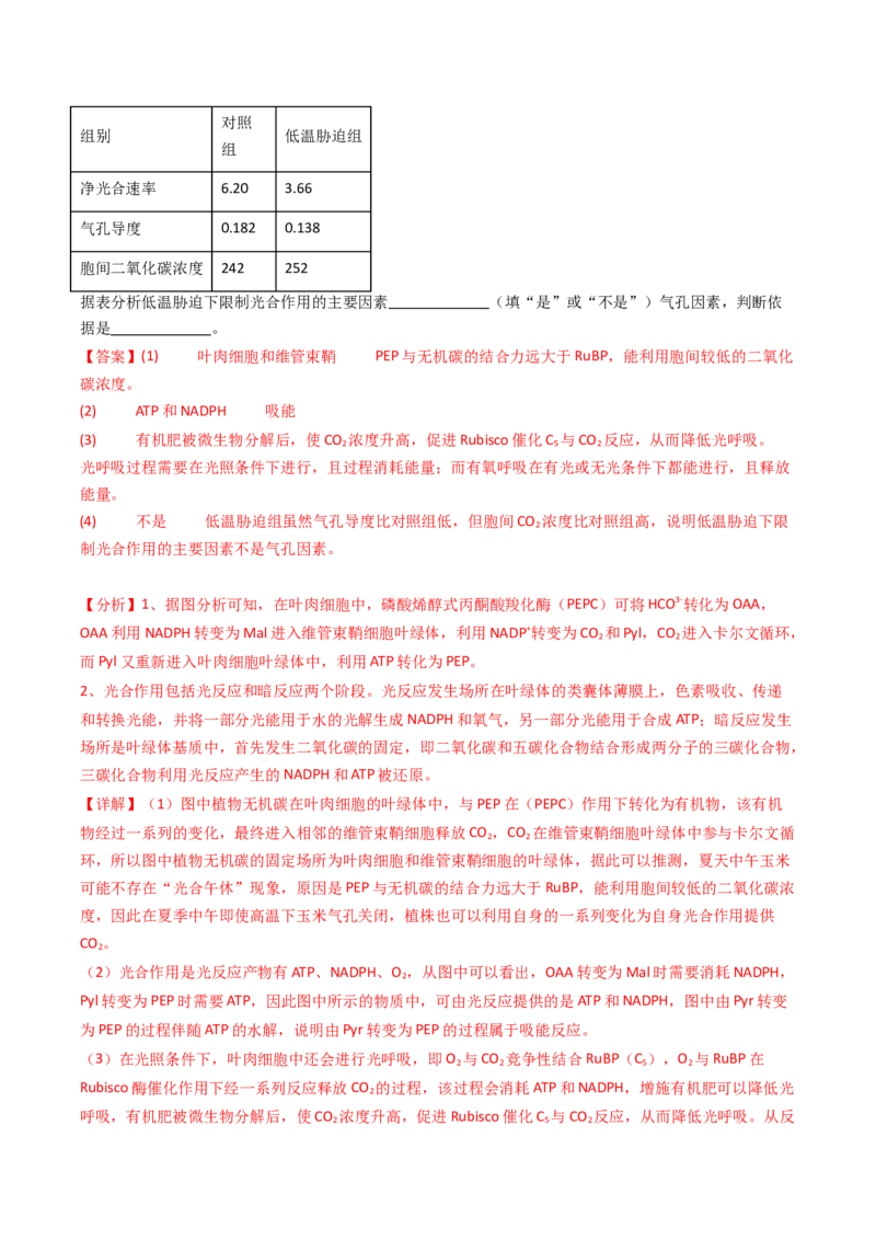 热点01&ldquo;农作物增产措施&rdquo;与光合作用和细胞呼吸（解析版）_2024年新高考资料_3.2024专项复习_2024年高考生物热点&middot;重点&middot;难点专练（新高考专用）