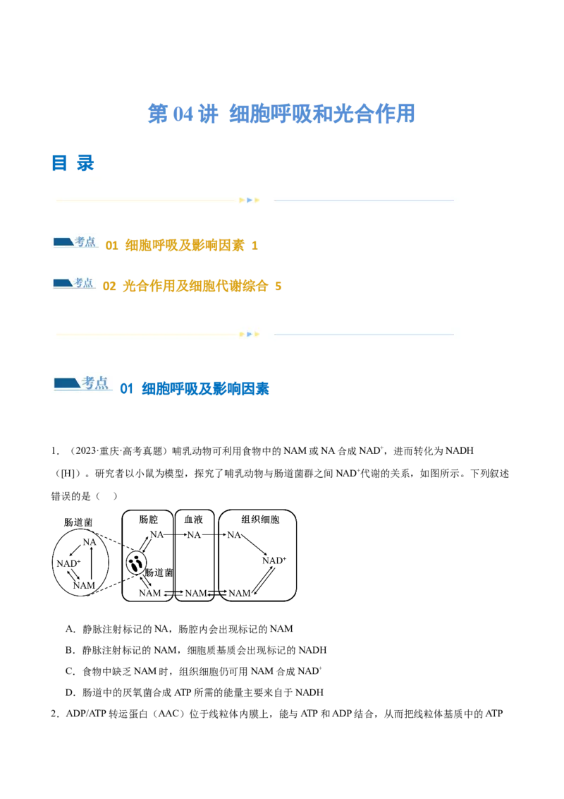 第04讲细胞呼吸和光合作用（练习）（原卷版）_2024年新高考资料_2.2024二轮复习_2024年高考生物二轮复习讲练测（新教材新高考）