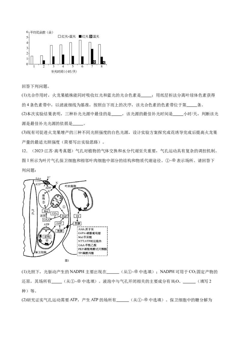 第04讲细胞呼吸和光合作用（练习）（原卷版）_2024年新高考资料_2.2024二轮复习_2024年高考生物二轮复习讲练测（新教材新高考）