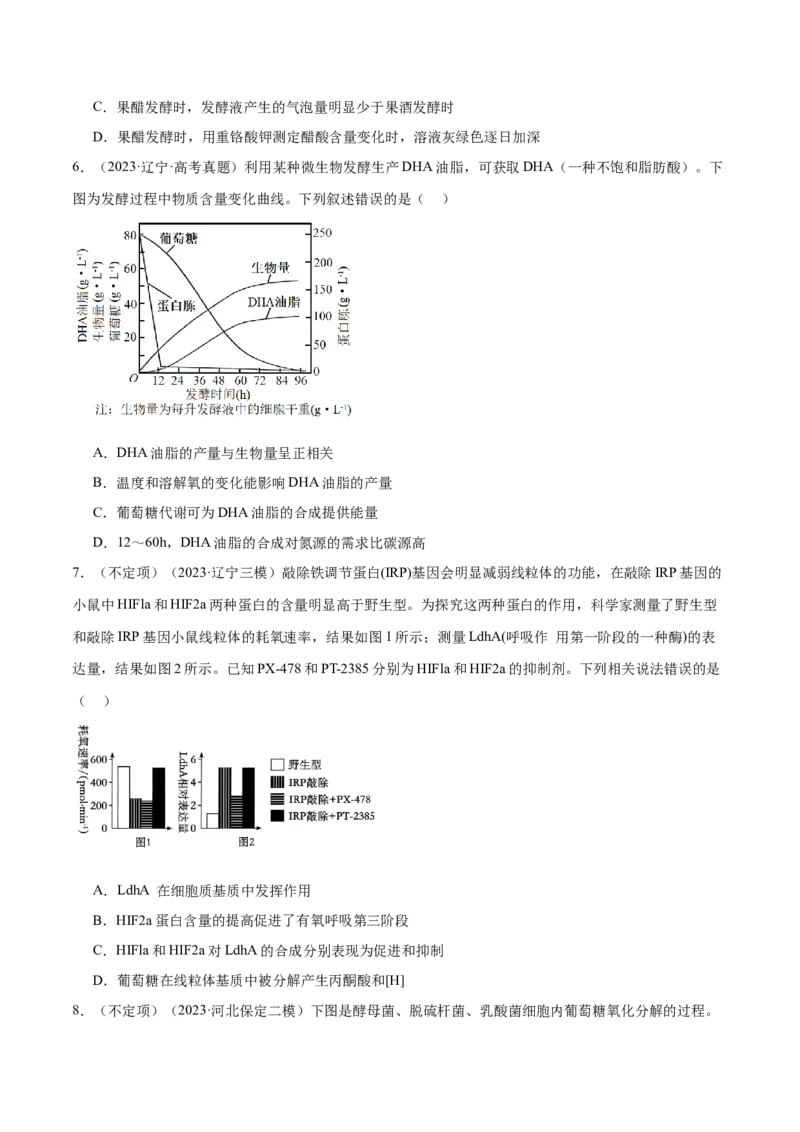 第04讲细胞呼吸和光合作用（练习）（原卷版）_2024年新高考资料_2.2024二轮复习_2024年高考生物二轮复习讲练测（新教材新高考）