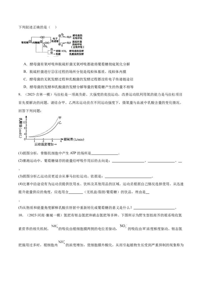 第04讲细胞呼吸和光合作用（练习）（原卷版）_2024年新高考资料_2.2024二轮复习_2024年高考生物二轮复习讲练测（新教材新高考）