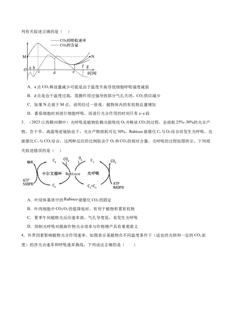 第04讲细胞呼吸和光合作用（练习）（原卷版）_2024年新高考资料_2.2024二轮复习_2024年高考生物二轮复习讲练测（新教材新高考）