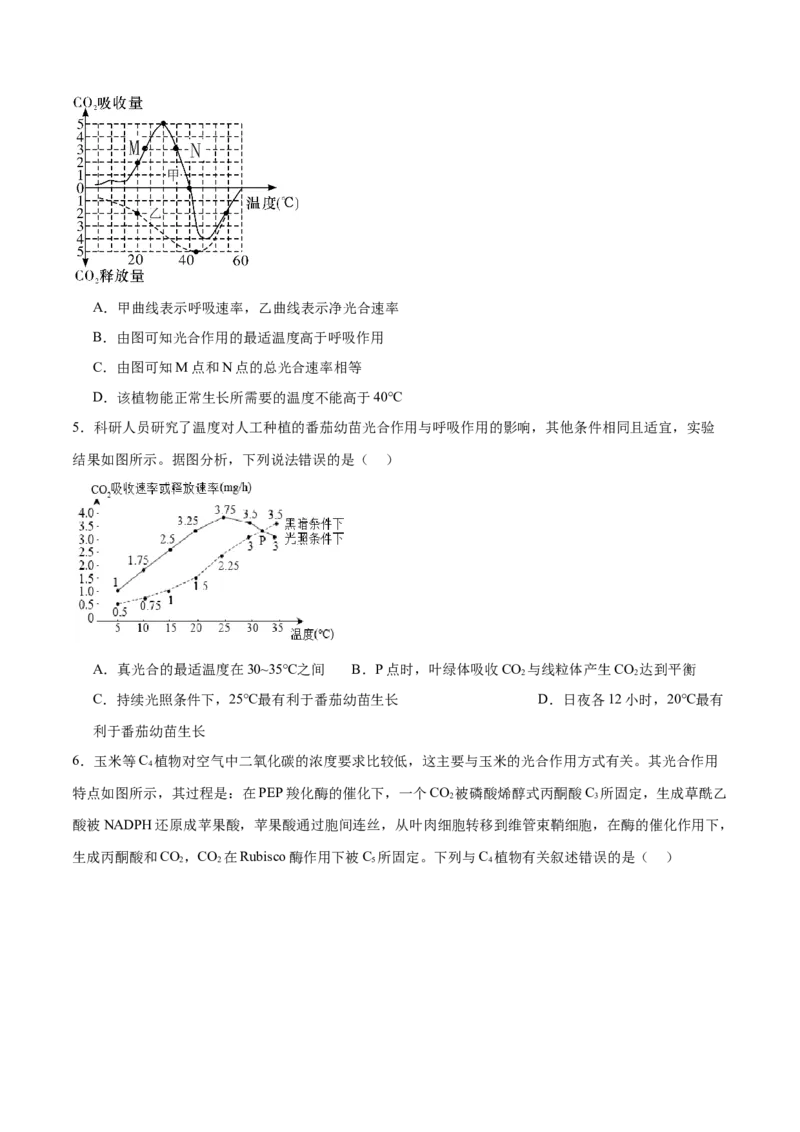 第04讲细胞呼吸和光合作用（练习）（原卷版）_2024年新高考资料_2.2024二轮复习_2024年高考生物二轮复习讲练测（新教材新高考）