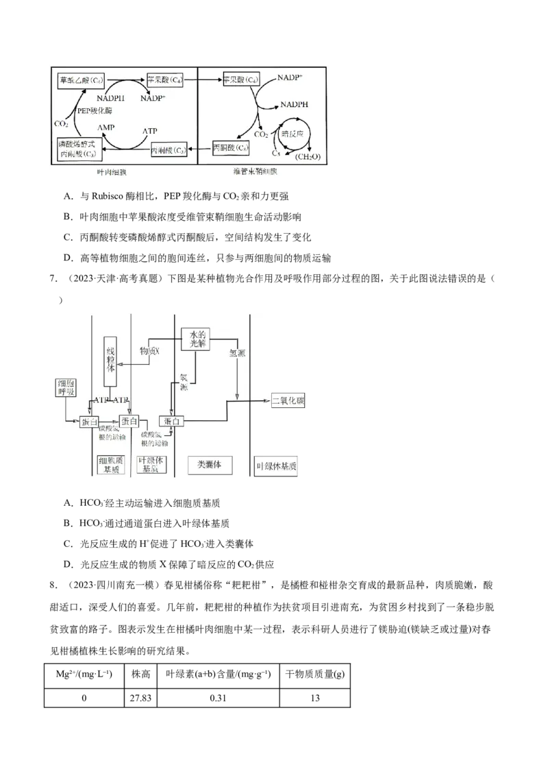 第04讲细胞呼吸和光合作用（练习）（原卷版）_2024年新高考资料_2.2024二轮复习_2024年高考生物二轮复习讲练测（新教材新高考）