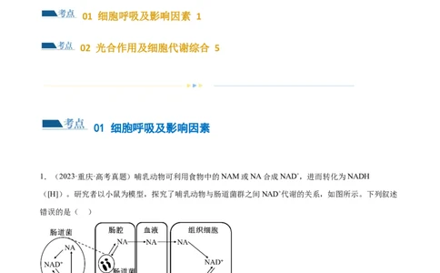 第04讲细胞呼吸和光合作用（练习）（原卷版）_2024年新高考资料_2.2024二轮复习_2024年高考生物二轮复习讲练测（新教材新高考）