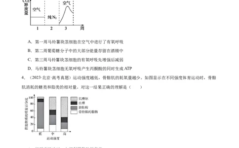 第04讲细胞呼吸和光合作用（练习）（原卷版）_2024年新高考资料_2.2024二轮复习_2024年高考生物二轮复习讲练测（新教材新高考）