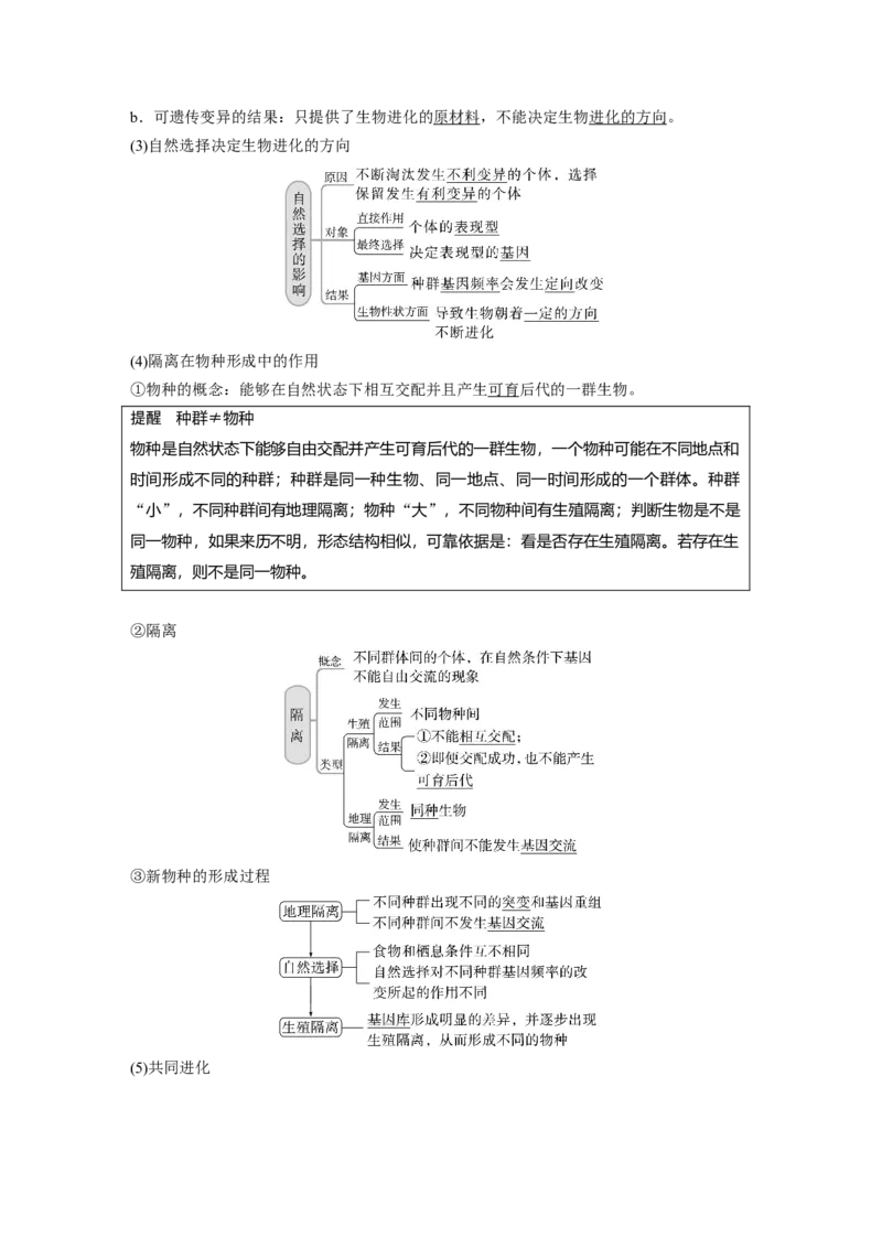 2023年高考生物一轮复习（全国版）第7单元第4课时　生物的进化_通用版（老高考）复习资料_2023年复习资料_一轮复习_2023年高考生物一轮复习讲义+课件（全国版）
