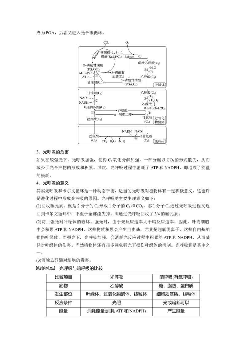 2023年高考生物一轮复习（新人教新高考）第3单元解惑练2　光呼吸_新高考复习资料_2023年新高考复习资料_一轮复习_2023年新高考大一轮复习讲义