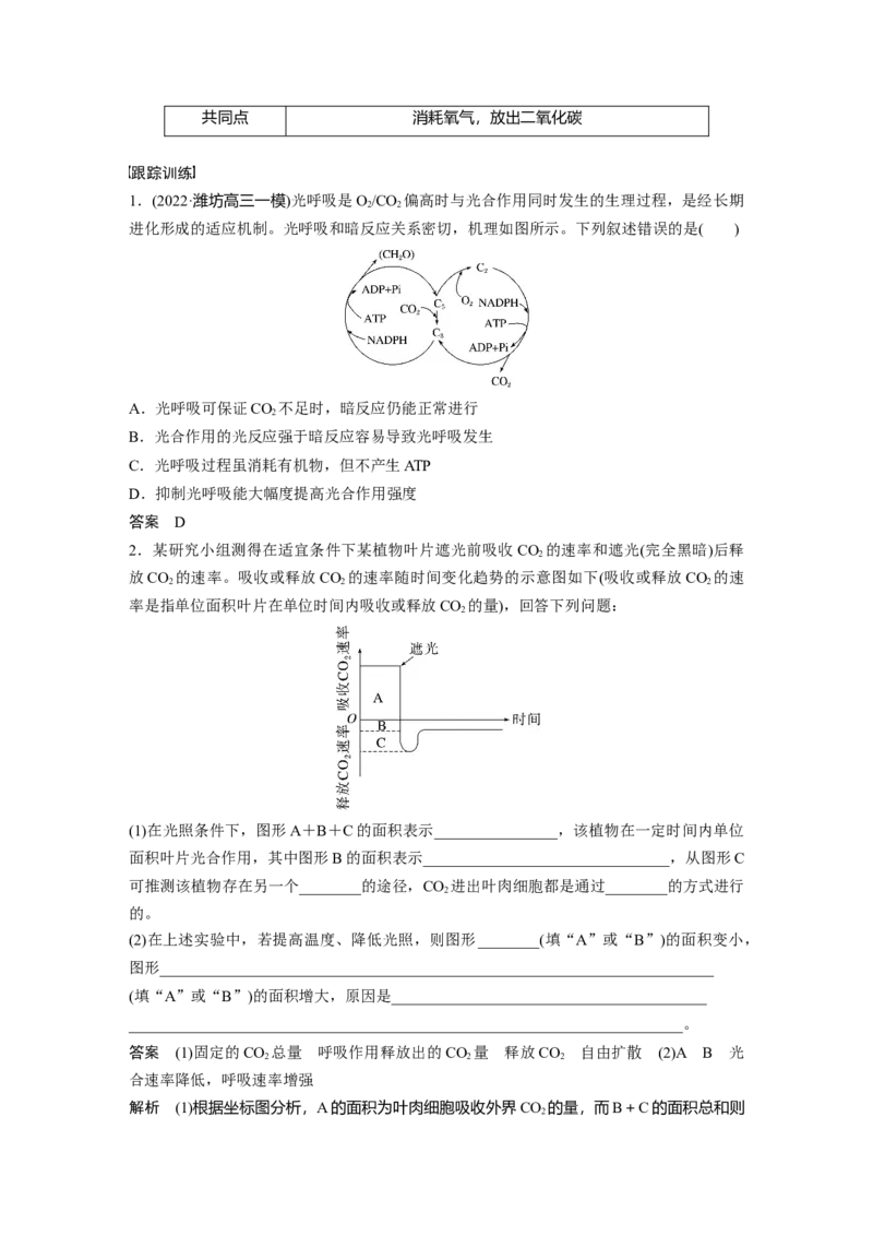2023年高考生物一轮复习（新人教新高考）第3单元解惑练2　光呼吸_新高考复习资料_2023年新高考复习资料_一轮复习_2023年新高考大一轮复习讲义