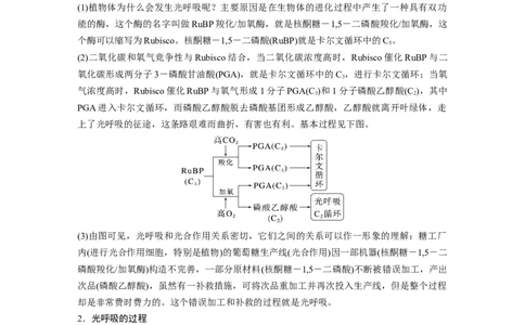 2023年高考生物一轮复习（新人教新高考）第3单元解惑练2　光呼吸_新高考复习资料_2023年新高考复习资料_一轮复习_2023年新高考大一轮复习讲义