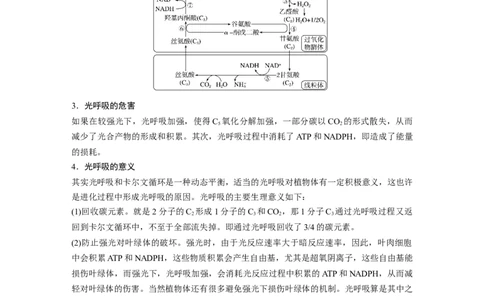 2023年高考生物一轮复习（新人教新高考）第3单元解惑练2　光呼吸_新高考复习资料_2023年新高考复习资料_一轮复习_2023年新高考大一轮复习讲义