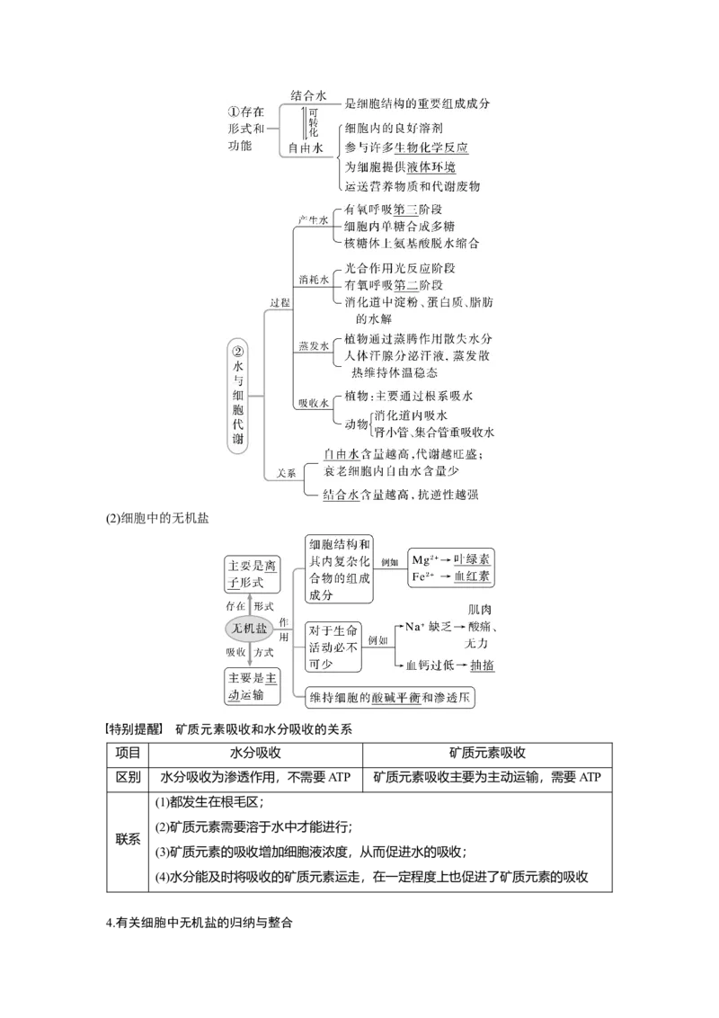 2023年高考生物一轮复习（全国版）第1单元第2课时　细胞中的无机物、糖类和脂质_通用版（老高考）复习资料_2023年复习资料_一轮复习_2023年高考生物一轮复习讲义+课件（全国版）